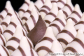 photo illustrations021.jpg
